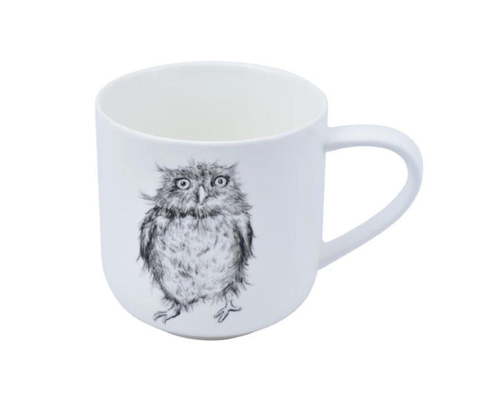 Кухоль Astera.Graphics.Ruffled Owl. 450мл.Color