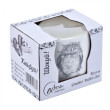 Кухоль Astera.Graphics.Ruffled Owl. 450мл.Color