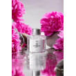 Аромадиффузор для дома AROMA BLOOM Lovely peony (Нежный пион) 100 мл