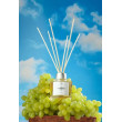 Аромадифузор для дому AROMA BLOOM Grape's sun (Сонячний виноград) 100 ml