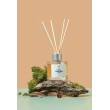 Аромадифузор для дому AROMA BLOOM Woody scent (Аромат лісу) 100 ml