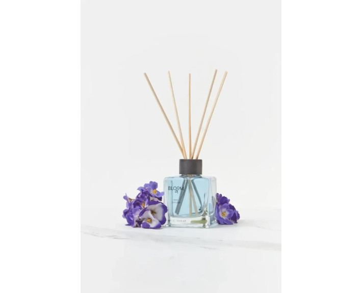 Аромадифузор для дому AROMA BLOOM Melon in violet (Диня у фіалці) 100 ml