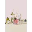 Аромадифузор для дому AROMA BLOOM Wild Flower (Дикі квіти) 100 ml