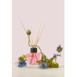 Аромадифузор для дому AROMA BLOOM Wild Flower (Дикі квіти) 100 ml