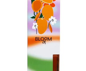 Аромадифузор для дому AROMA BLOOM Tango in mango (Танго з манго) 100 ml