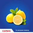 Порошок для чистки 500г Лимон, Carma