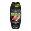 Гель для душу 250мл Енергійний для чоловіків, шт Palmolive