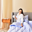 Набор OASIS евро: одеяло 200*220 см 250 г/м² + 2 наволочки стёганные 50*70 см + простынь 220*240 см (лаванда)
