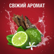 Дезодорант твердий-а/п Restart 50 мл, OLD SPICE Польща