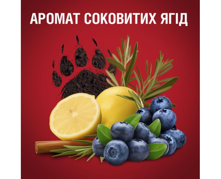 Дезодорант твердий Bear Claw 50 мл, OLD SPICE Польща