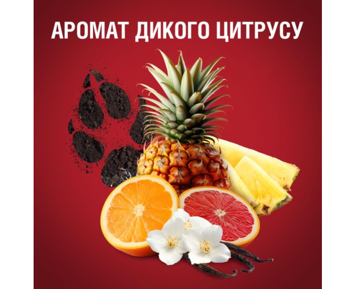 Дезодорант твердий Wolfthorn 50 мл, OLD SPICE Польща