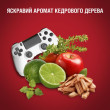 Дезодорант аерозоль Booster 150 мл, OLD SPICE Великобританія