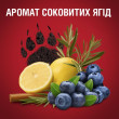 Дезодорант аэрозоль Bear Claw 150 мл, OLD SPICE Великобритания