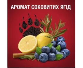 Гель для душу та шампунь 2в1 Bear Claw 250 мл, OLD SPICE Франція