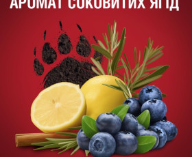 Гель для душу та шампунь 2в1 Bear Claw 250 мл, OLD SPICE Франція