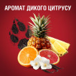 Гель для душу та шампунь 2в1 Wolfthorn 250 мл, OLD SPICE Франція