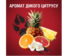 Гель для душу та шампунь 2в1 Wolfthorn 250 мл, OLD SPICE Франція