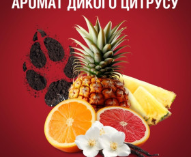 Гель для душу та шампунь 2в1 Wolfthorn 250 мл, OLD SPICE Франція