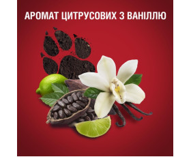 Гель для душу та шампунь 2в1 Night Pantera 400 мл,  OLD SPICE  Франція