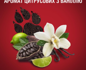 Гель для душу та шампунь 2в1 Night Pantera 400 мл,  OLD SPICE  Франция