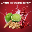 Гель для душу та шампунь 2в1 Captain 400 мл, OLD SPICE Франція