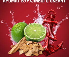 Гель для душу та шампунь 2в1 Captain 400 мл, OLD SPICE Франция
