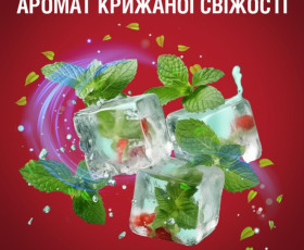 Гель для душу та шампунь 2в1 Освіжаючий 400 мл, OLD SPICE Франція