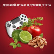 Дезодорант твердий дез. Бустер 50мл OLD SPICE