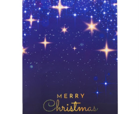 Подарунковий пакет "Merry Christmas", 30*41,5 см * Рандомний вибір дизайну