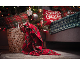 Плед Ardesto Christmas Fleece 130x160см, 100% поліестер, клітинка, червоний