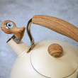 Чайник Маркіза зі свистком GUSTO, 2.8л GT-1422-28