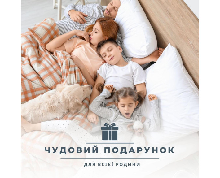 Ковдра ДобраНіч IDEIA зимова 200*220 антиалергійна щіл.300 (біла)
