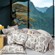 Комплект пост.білизни Євро Studio 200*230 Bouquet SOHO