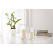 Ваза TRENDGLASS ROSE /25 см