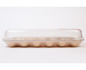 Контейнер для яєць Egg(12 шт),пласт.,ТМ Qlux,Туреччина
