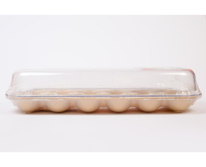 Контейнер для яєць Egg(12 шт),пласт.,ТМ Qlux,Туреччина